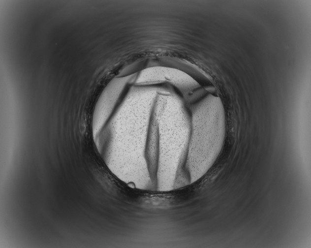X0000086100758200704132147
