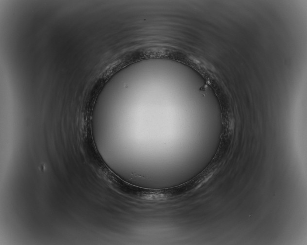 X0000086100759200704132147