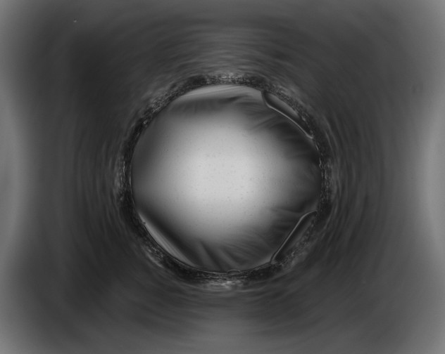 X0000086100760200704132147