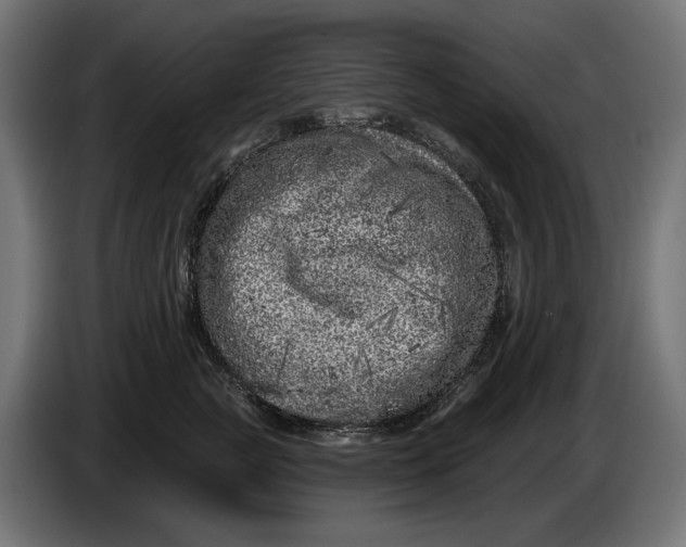 X0000086100761200704132147