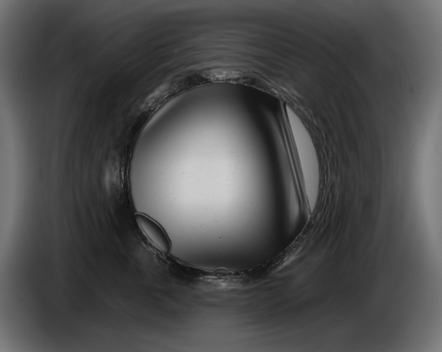 X0000086100763200704132147