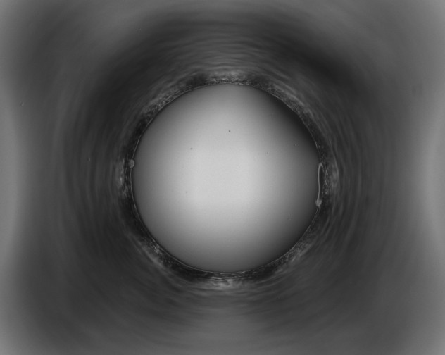 X0000086100764200704132147