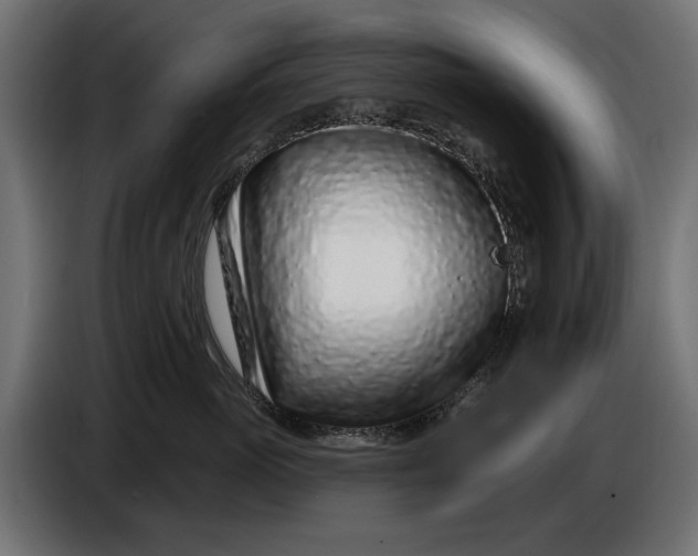 X0000086100765200704132147