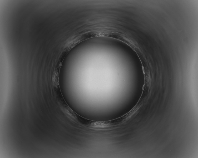 X0000086100766200704132147