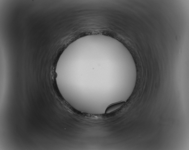 X0000086100768200704132147