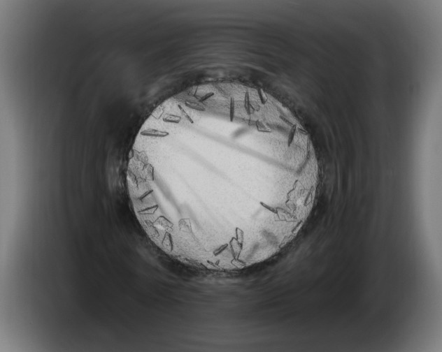 X0000086100770200704132147