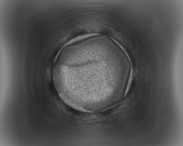X0000086100772200704132146