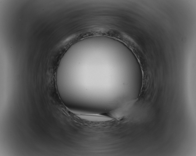 X0000086100773200704132146