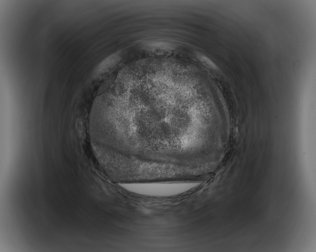 X0000086100774200704132146