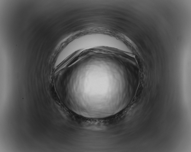 X0000086100775200704132146