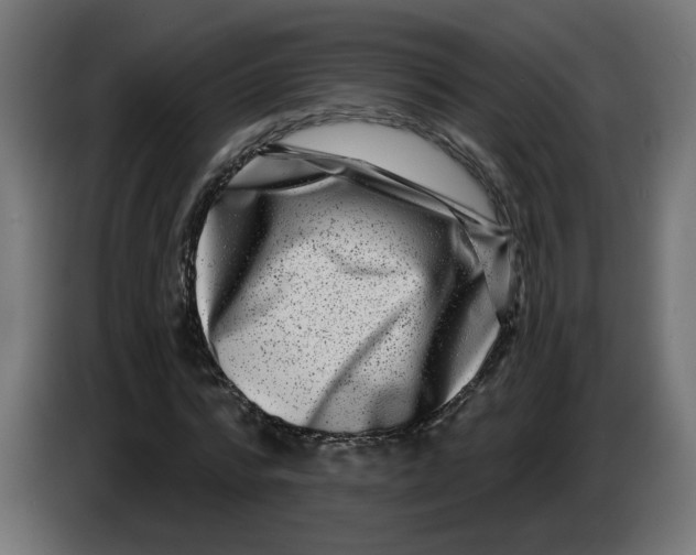 X0000086100776200704132146