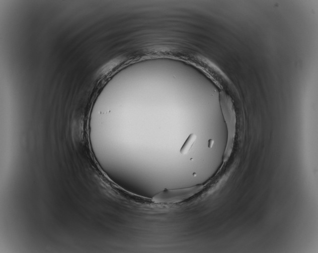 X0000086100777200704132146