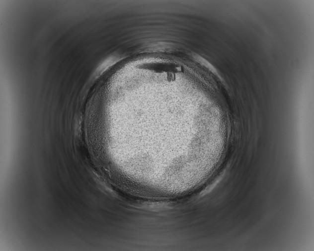 X0000086100778200704132146