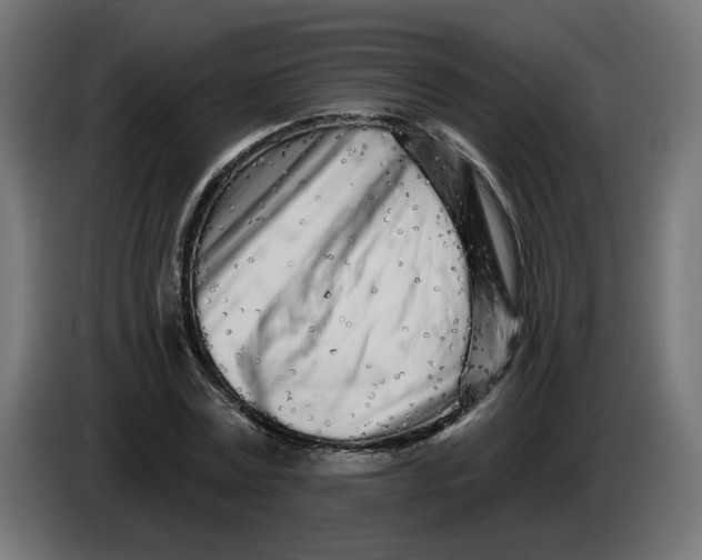X0000086100779200704132146
