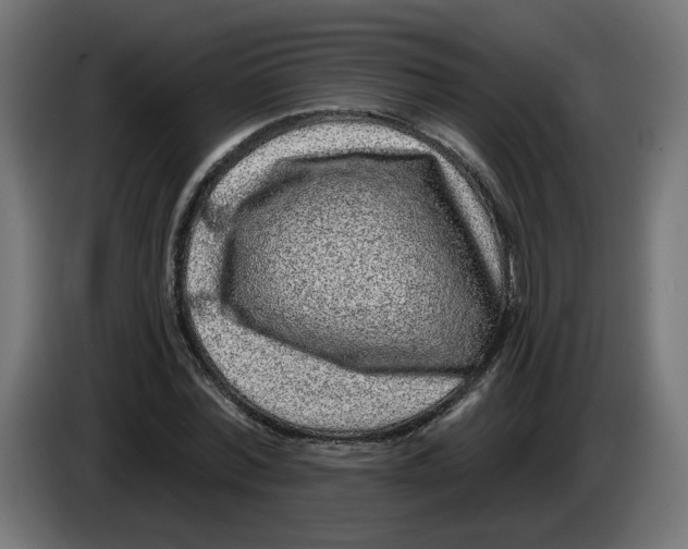 X0000086100780200704132146