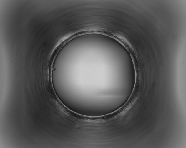 X0000086100781200704132146