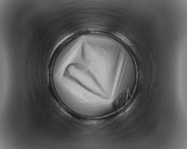 X0000086100782200704132146