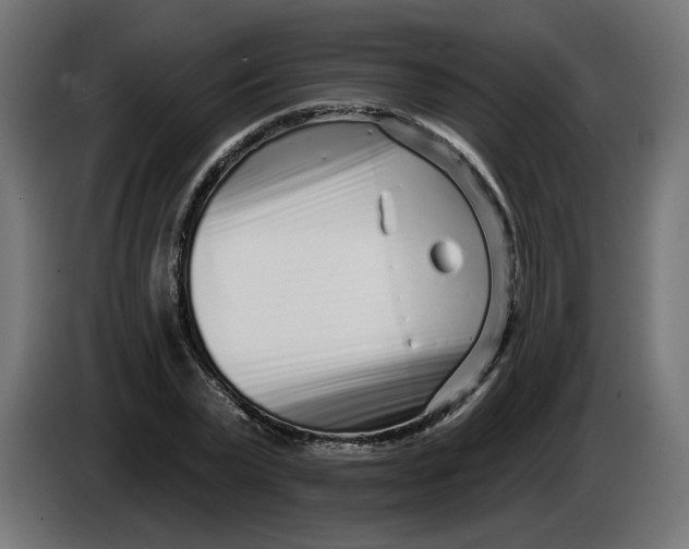 X0000086100783200704132146