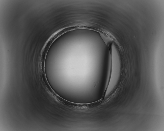 X0000086100784200704132146