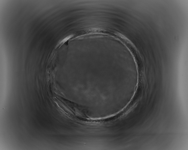 X0000086100785200704132146