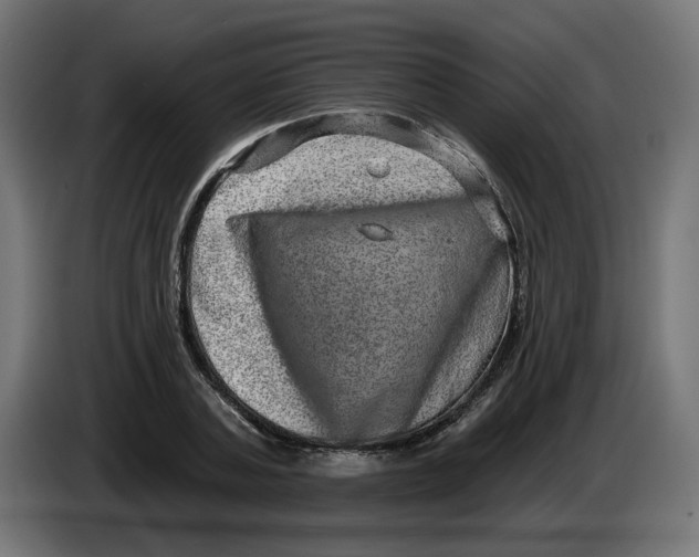 X0000086100787200704132146