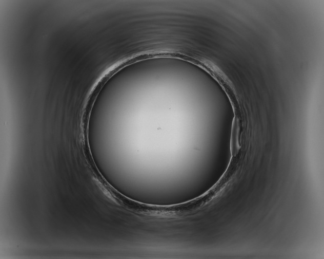 X0000086100789200704132146
