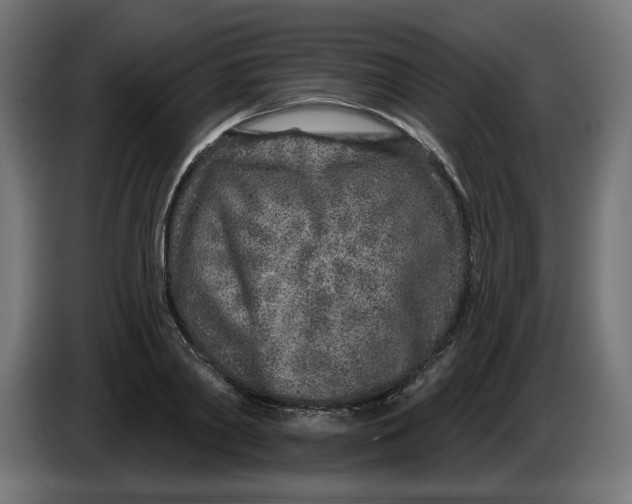 X0000086100790200704132146