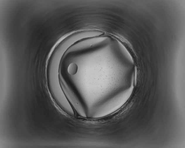 X0000086100792200704132146