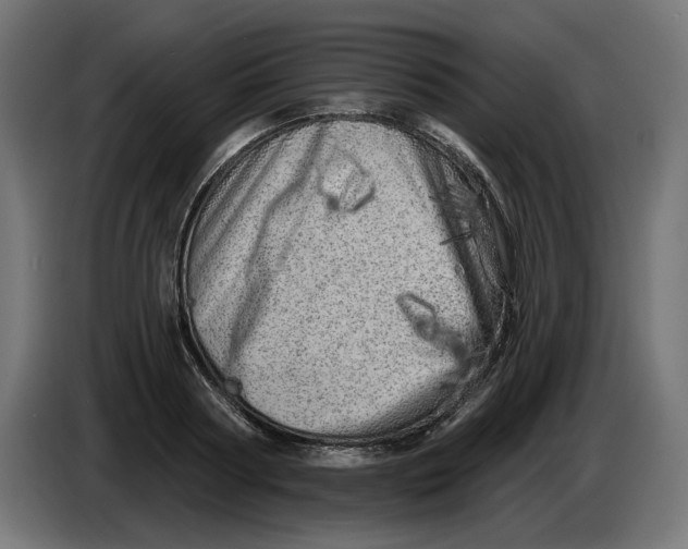 X0000086100794200704132146