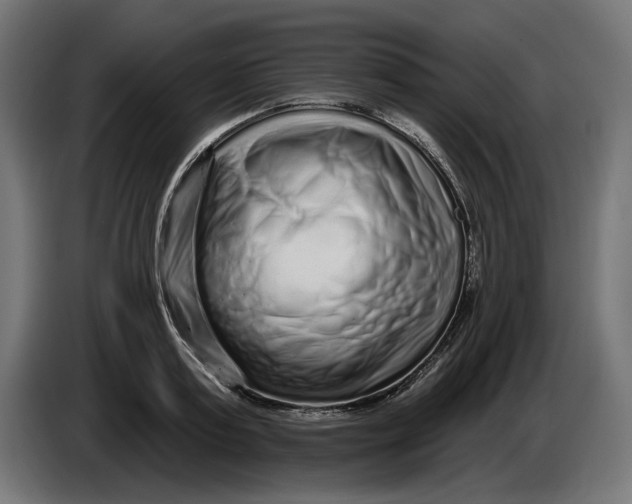 X0000086100795200704132146