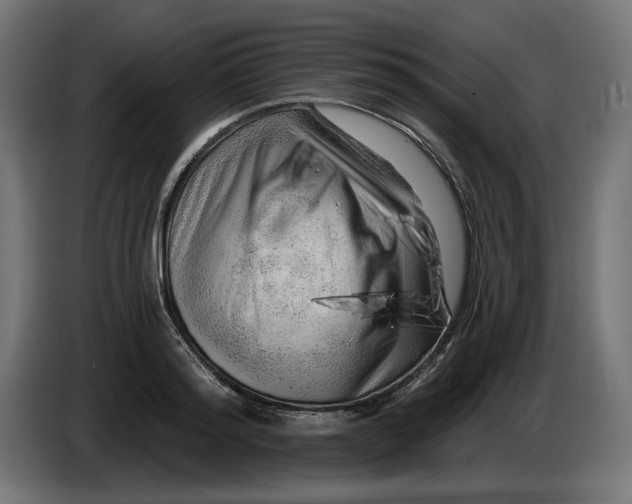 X0000086100796200704132146