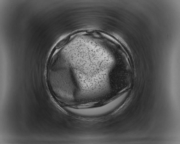 X0000086100797200704132146