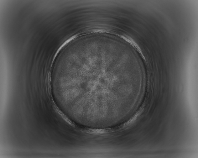 X0000086100798200704132146