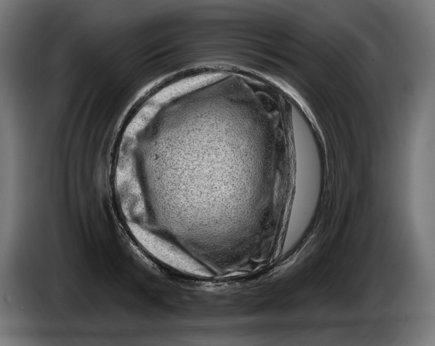 X0000086100799200704132146