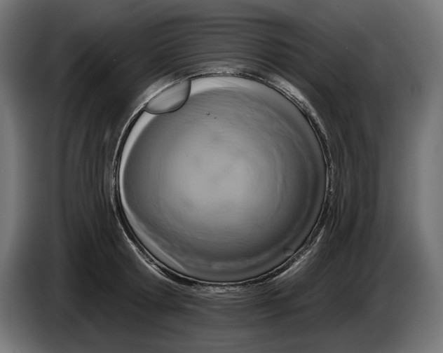X0000086100802200704132146