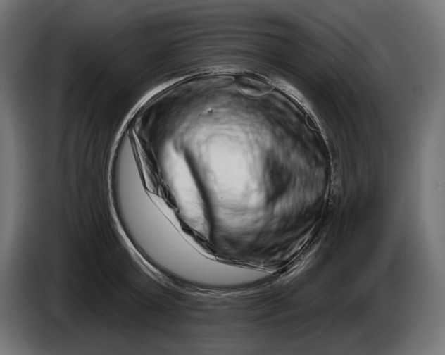 X0000086100803200704132146