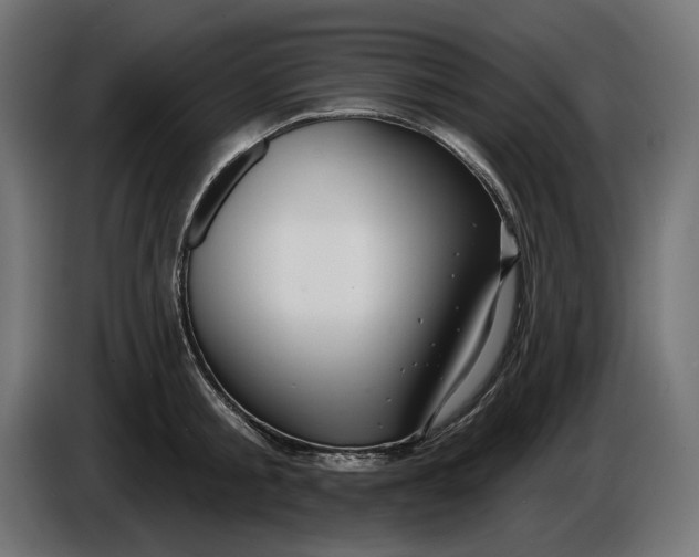 X0000086100805200704132146