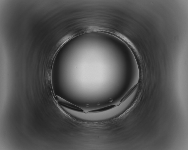 X0000086100809200704132146