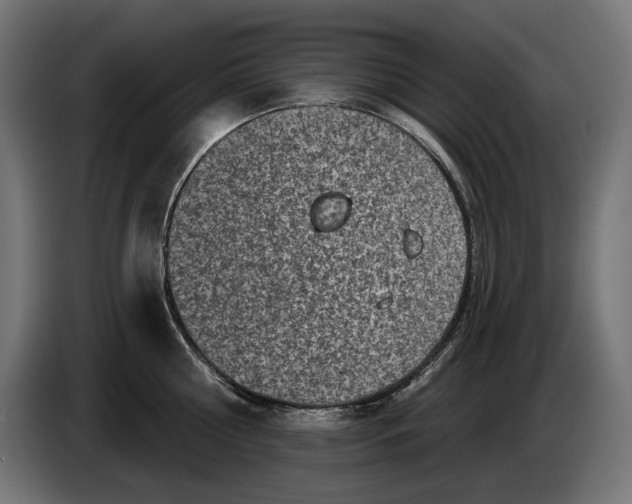X0000086100810200704132146