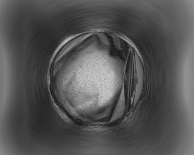 X0000086100811200704132146