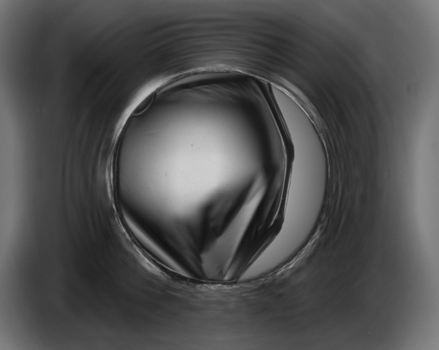 X0000086100812200704132146