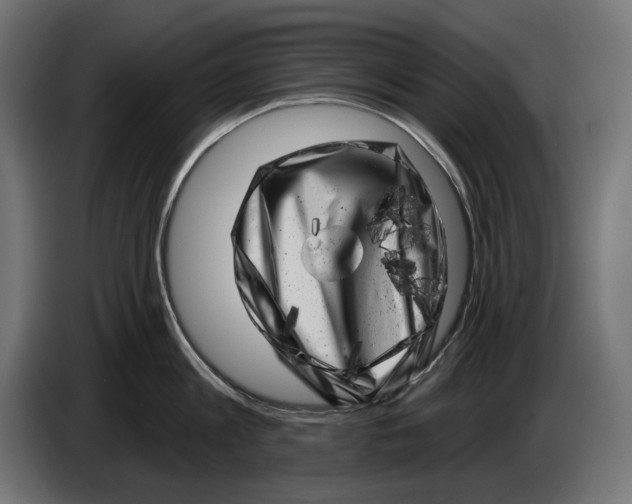 X0000086100813200704132146
