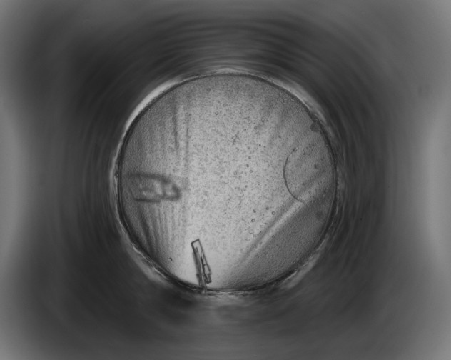 X0000086100814200704132146