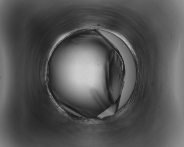 X0000086100815200704132146
