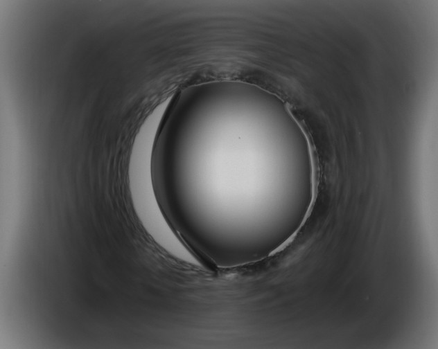 X0000086100818200704132145
