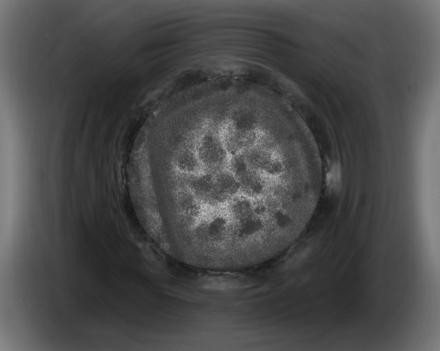 X0000086100819200704132145