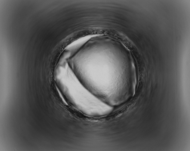 X0000086100821200704132145