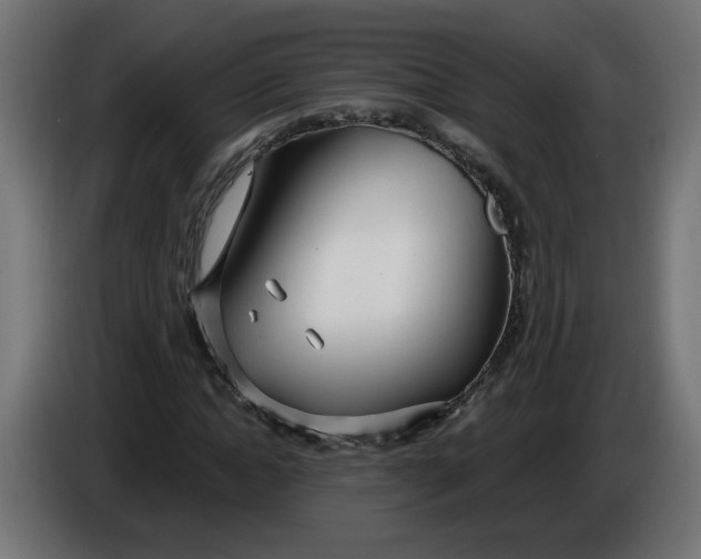 X0000086100822200704132145