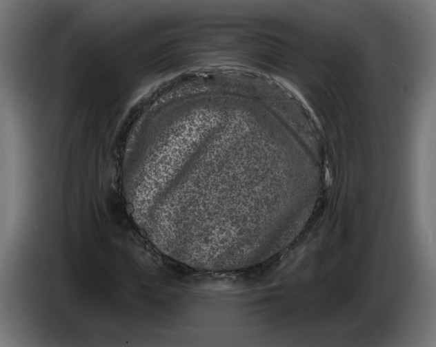 X0000086100823200704132145