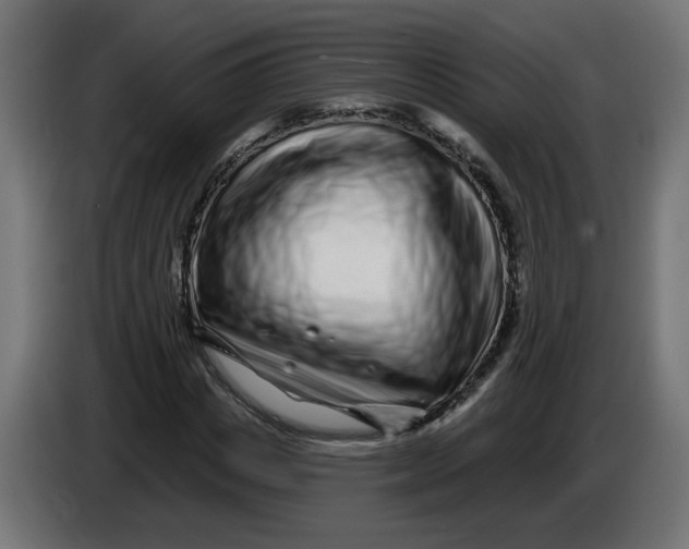 X0000086100825200704132145
